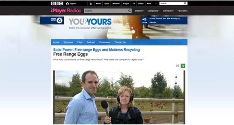 you and yours on free range eggs, october 2016_38382
