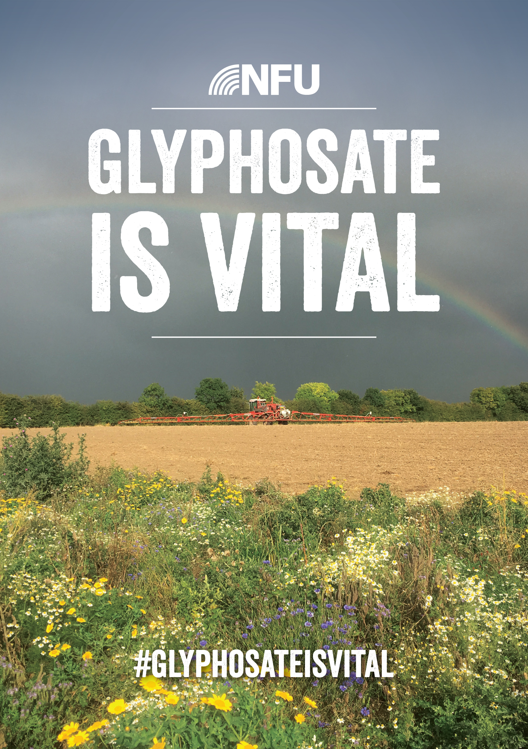 glyphosate leaflet, feb 2017