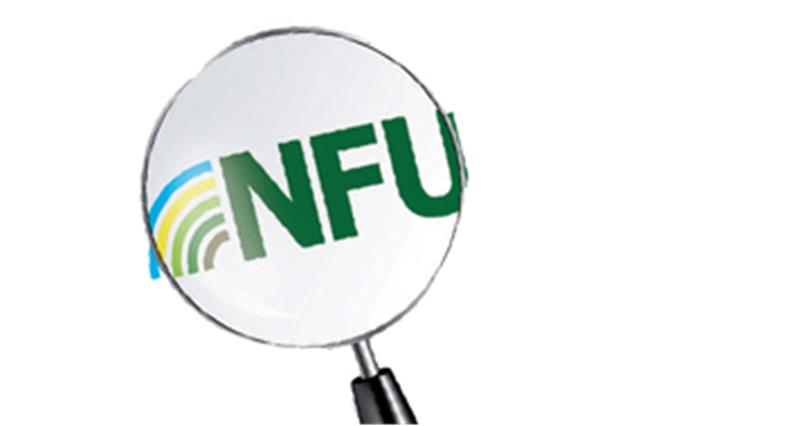 NFU magnifying glass logo 275 pix_14190