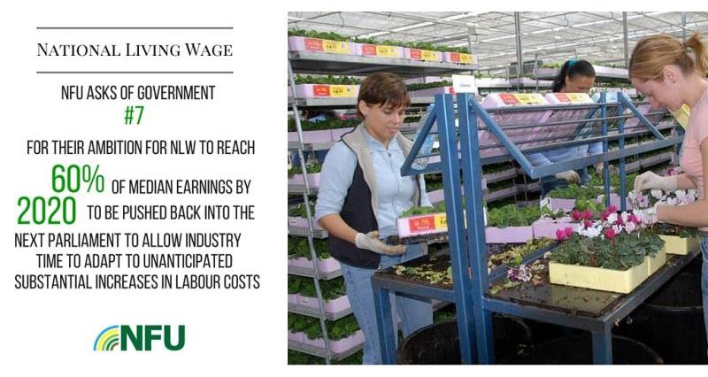 National Living Wage Asks 2, February 2016 Westminster event, horticulture_32796