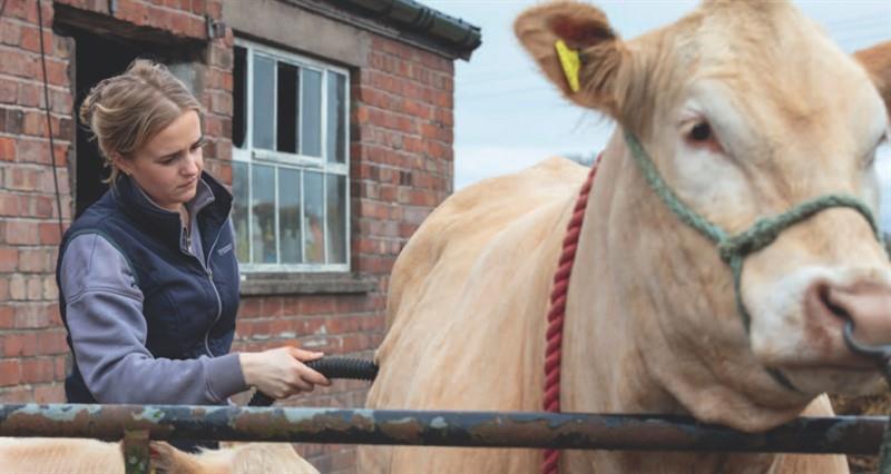 Holly Latham, showing, Student Farmer