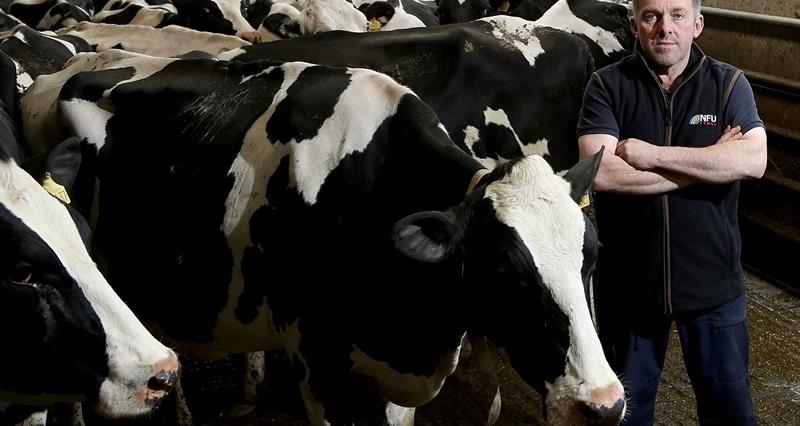 NFU Cymru calls for urgent bovine TB action from next Welsh Government 