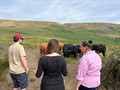 Sarah Cooper Reform UK MS on Katie Rose Davies farm