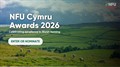Awards website graphic 