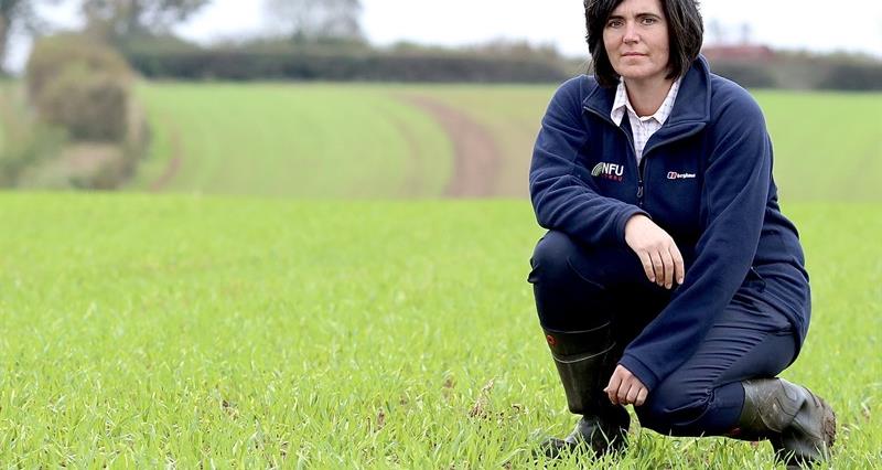 NFU Cymru welcomes Cabinet Minister’s intention to alter closed period for nutrient spreading 