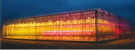 stockbridge led4crops high wire glasshouse