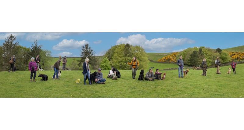 Claudia Atkinson, a dog trainer who owns Claudia’s Canine Coaching, in action