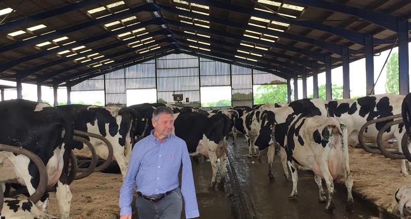 Kit Hopley in amongst the cows_67056