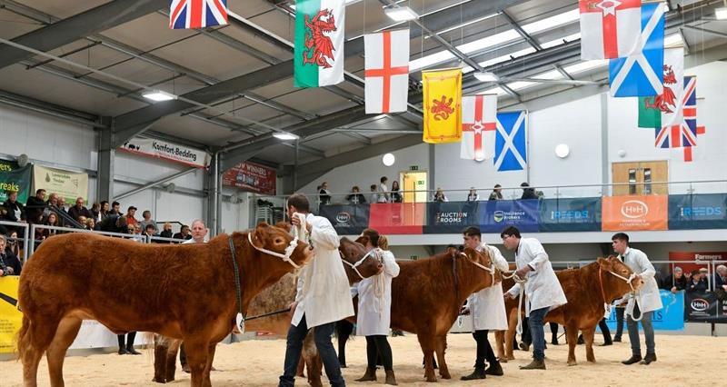Borderway Agri Expo in full swing