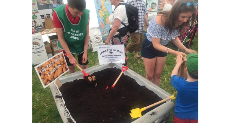 Kids loved digging up their own potatoes at the Royal Cheshire Show 2017_44731
