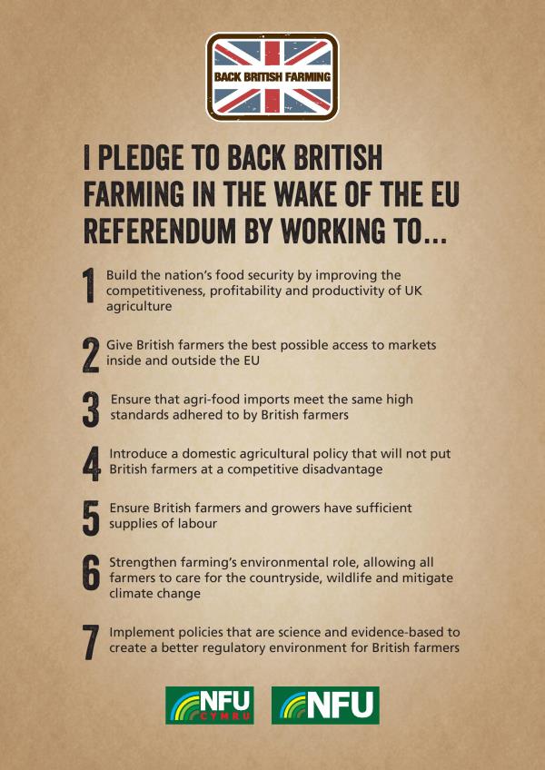 Post EU Referendum MPs pledge_35784