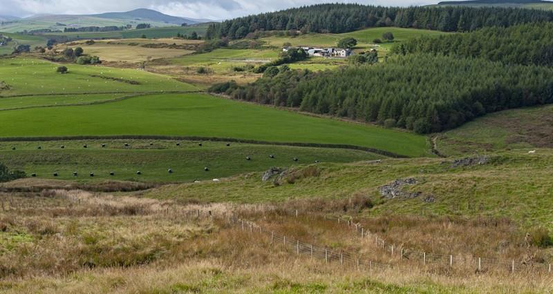 Welsh patchwork landscape