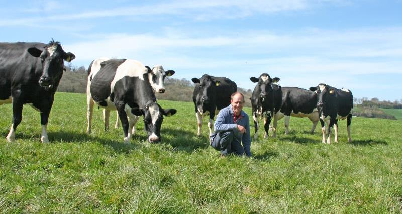 Jamie Butler with dairy cows April 2016_34742