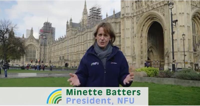 Minette Batters command paper video_52926