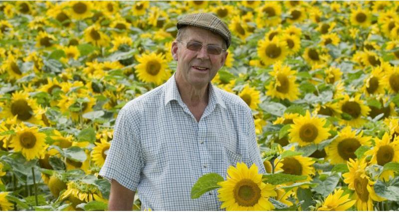 Nicholas Watts with sunflowers_51328