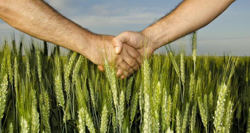 handshake in crops_17946