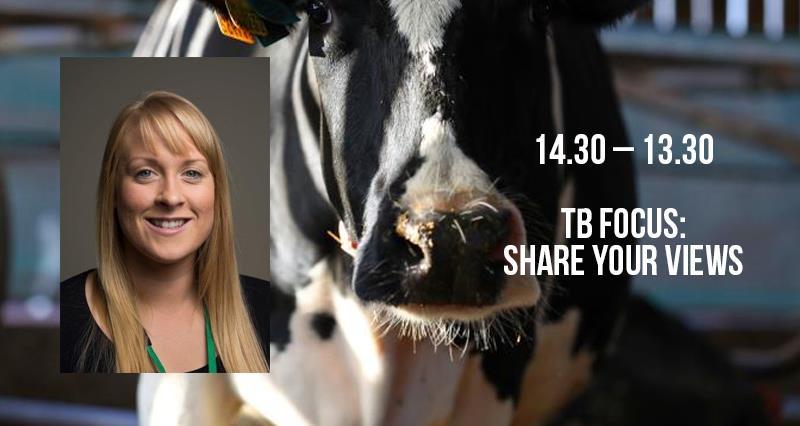 UK dairy day promo schedule TB_56978