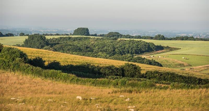NFU21: Level up rural Britain to turbocharge Britain's green economy