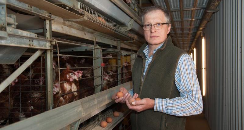 Duncan Priestner, Poultry Board Chairman_39007