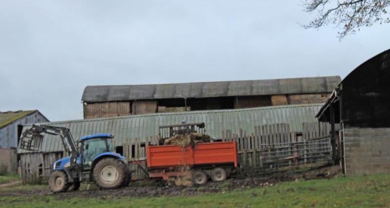 Tractor on Rob Alderson's farm_42553