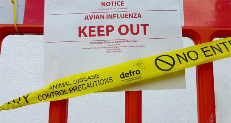 Defra Bird Flu Sign_25549