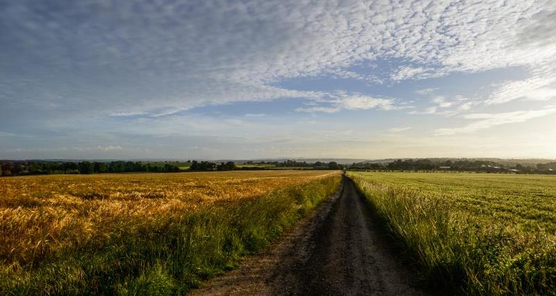 Path through fields farming landscape_47798