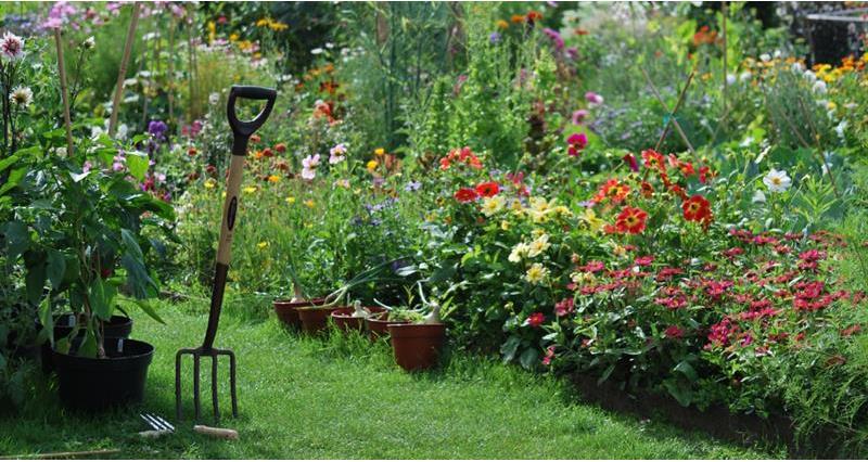 July gardening with Pippa Greenwood