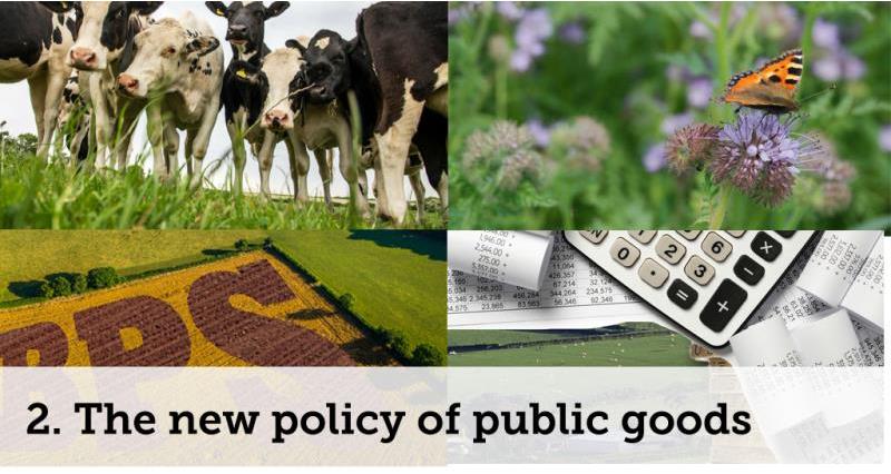 new policy of public goods_52093