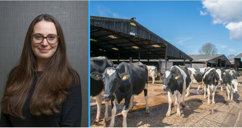 Nina Winter - dairy cows regulation visit_56734