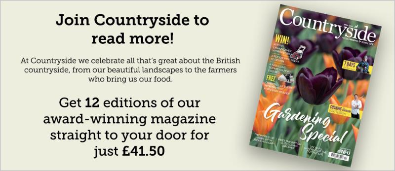Countryside magazine advert_52456
