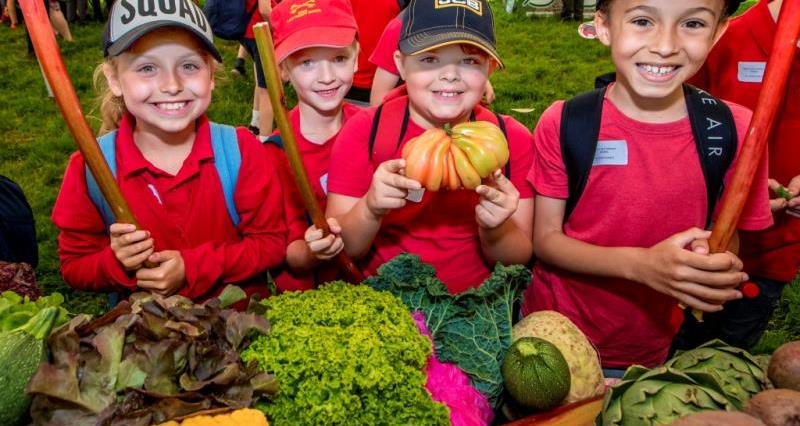 Essex schools food and farming day_54428