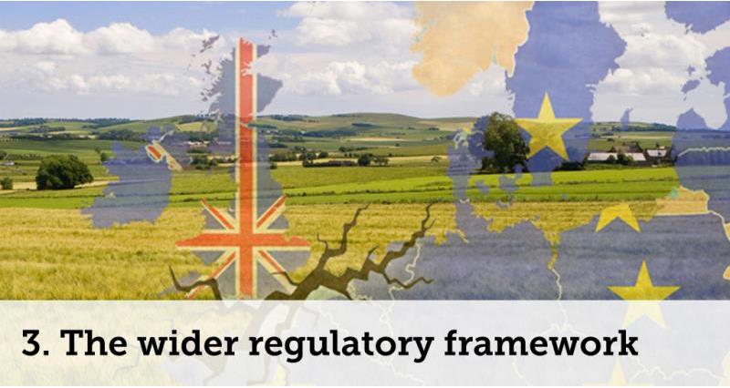 wider regulatory framework_52094