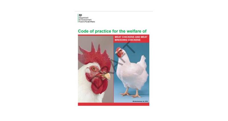Code of practice - meat chickens and meat breeding chickens - draft_50005