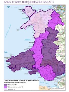 TB regionalised map, Wales_47157