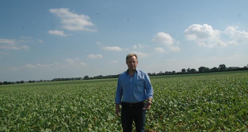 Find out how sugar beet is grown with grower Kit Papworth