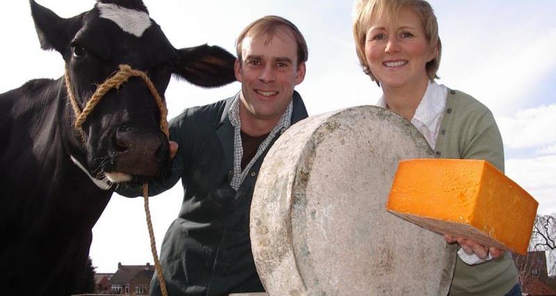 Meet the dairy cows behind Leicestershire Handmade Cheese Company