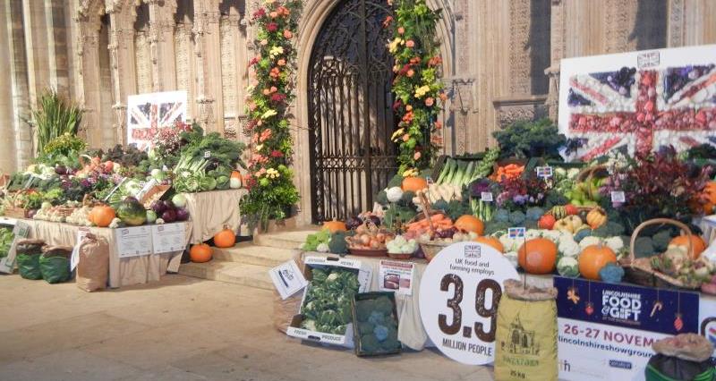 Produce display Lincoln Cathedral 2016 7_38321