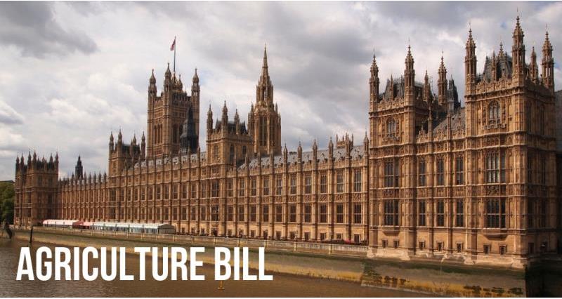 agriculture bill houses of parliament canva composite_57457