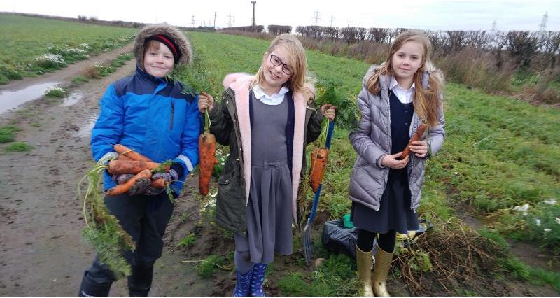 science farm nov 17 children with carrots_49316