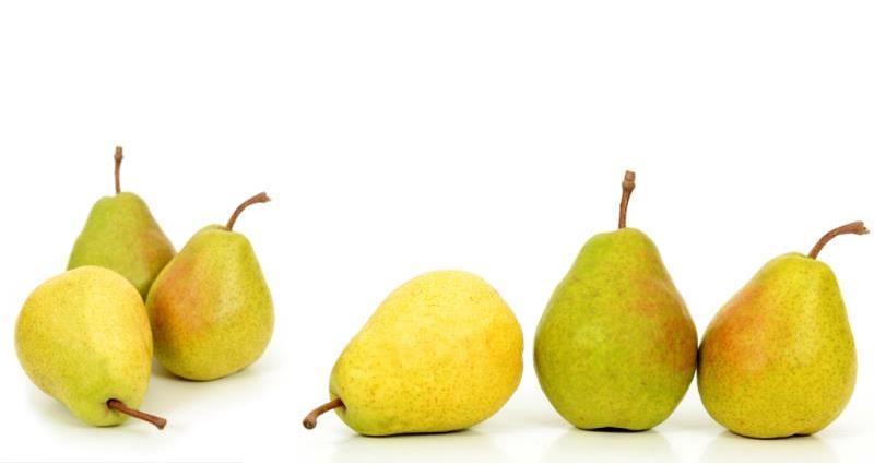 Find out about growing pears