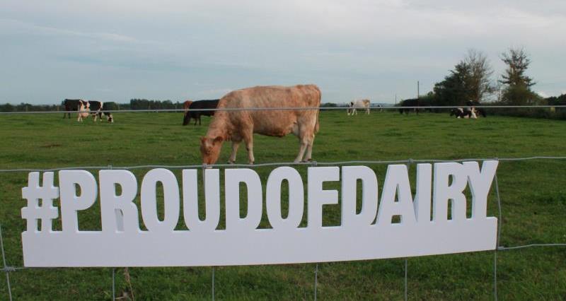 Cow with #proudofdairy sign_45954