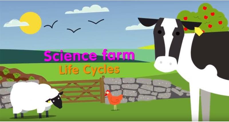 science farm life cycle_57628