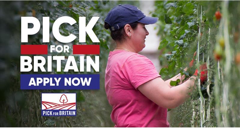 Learn more about the 'Pick For Britain' campaign
