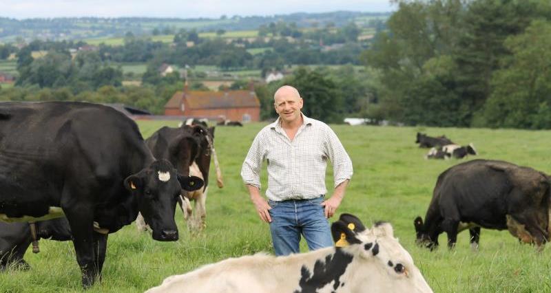 David Brookes on the farm _11976