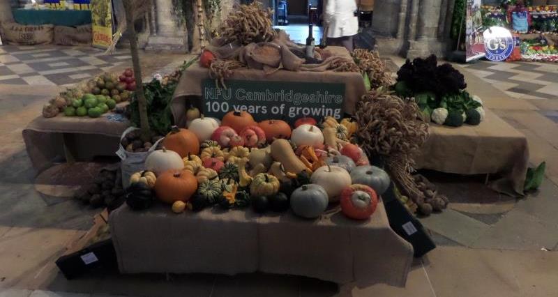 NFU produce display in Ely Cathedral_24877