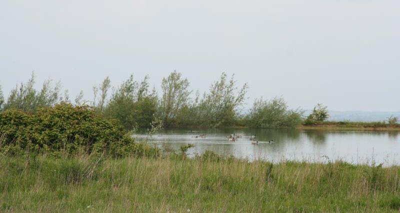 Farm reservoir Cambridgeshire_36257