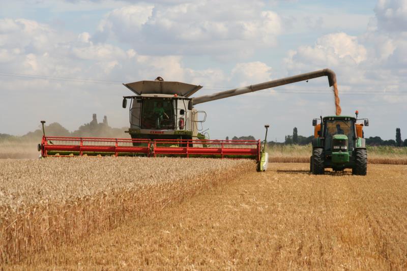 Crops - learn about the UK arable sector