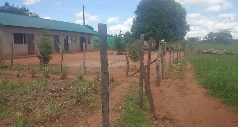 Stock fence in Uganda_45619