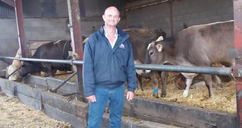 phil latham, dairy farmer, brown swiss cows_46009