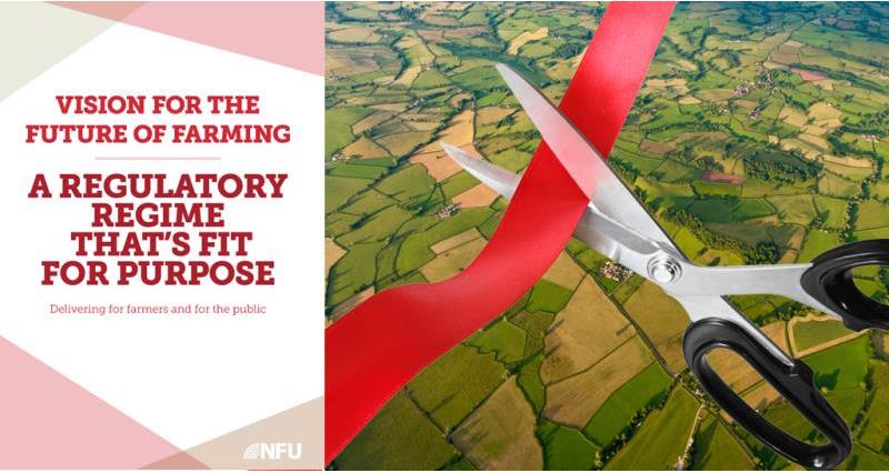 nfu regulation vision paper and red tape scissors, brexit, august 2017-1_45963